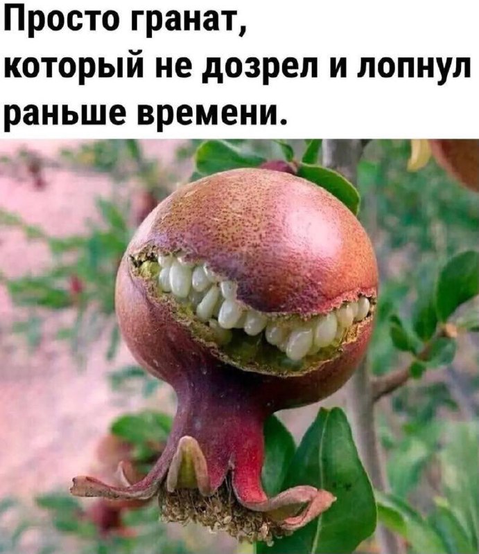 Неггинг
Как ты знаешь (а если давно читаешь мой канал то особенно), я пишу с ошибками. И, хуже того, не вижу в этом проблемы, хихи | Сетка — социальная сеть от hh.ru