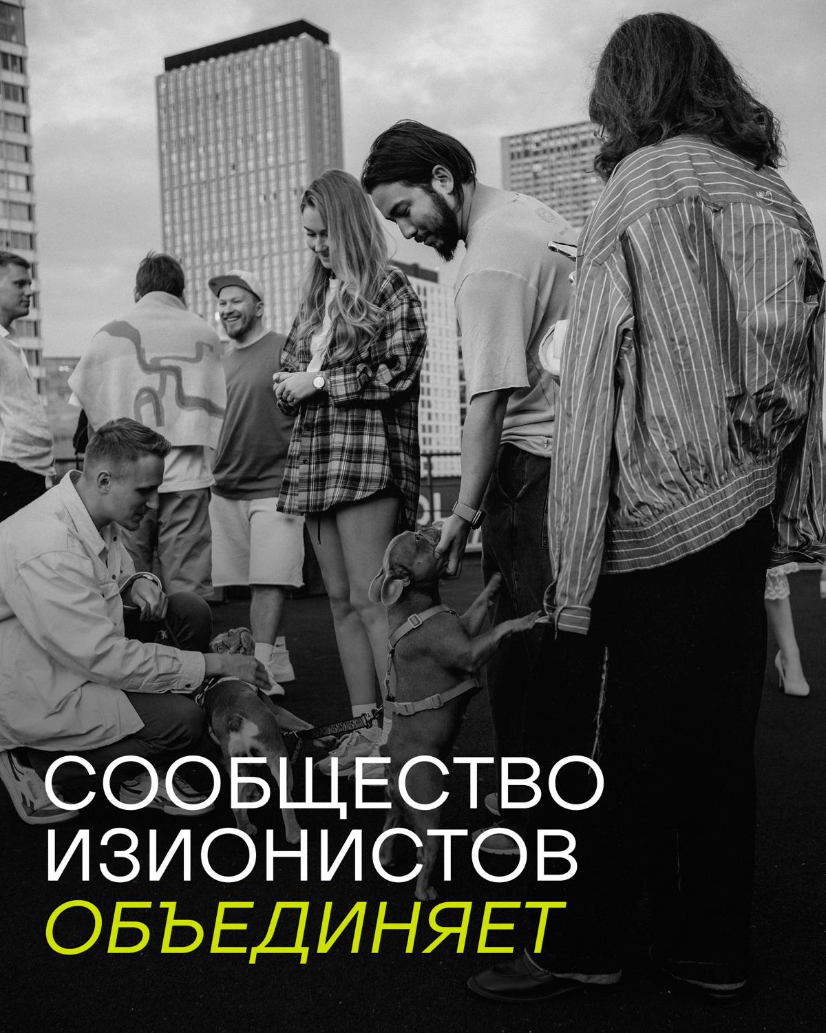 У Сообщества изионистов есть общий чат, в котором ежедневно кипит жизнь. По нему спокойно отслеживается состояние рынка и основные боли предпринимателей и руководителей | Сетка — социальная сеть от hh.ru