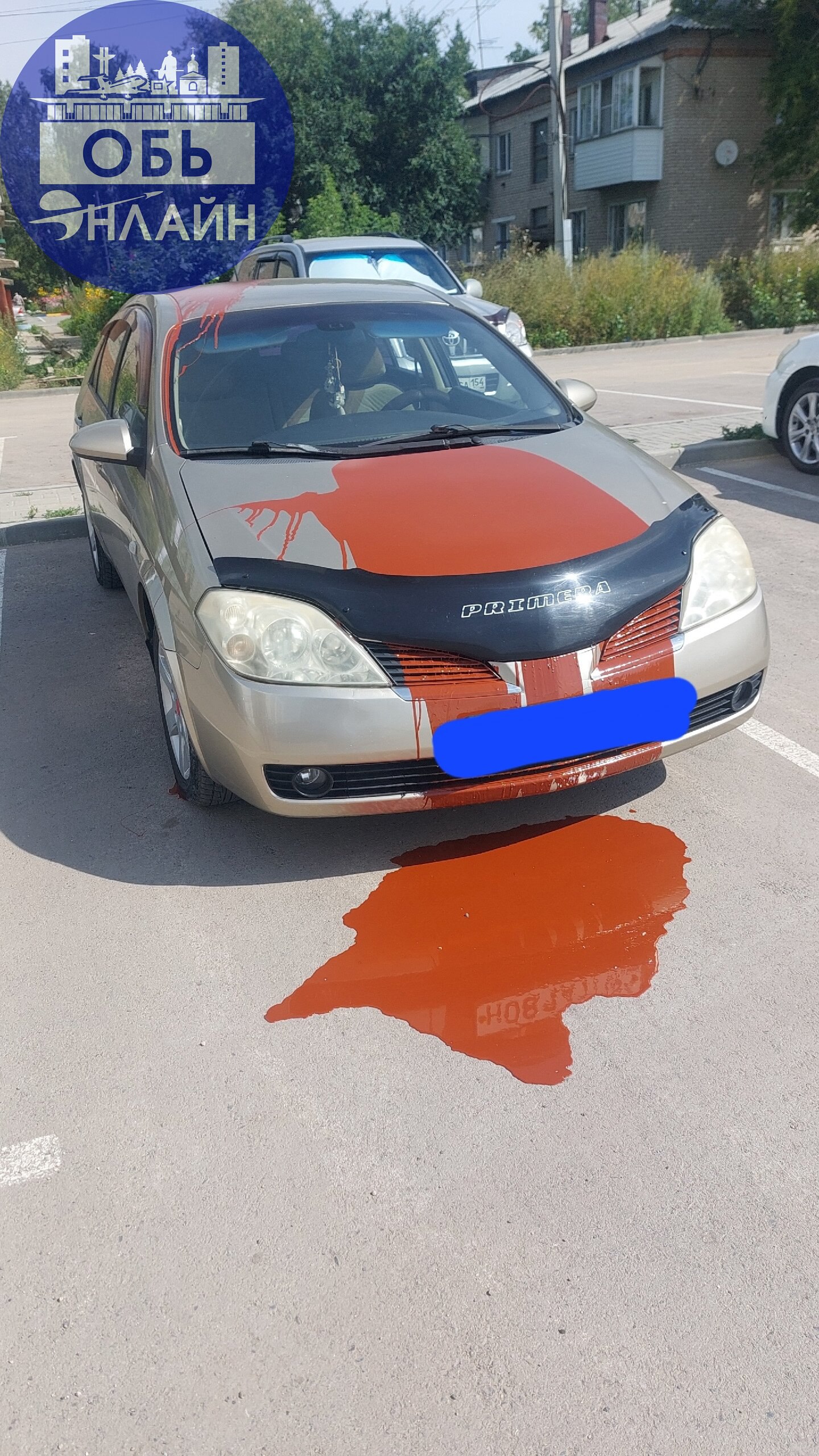 ↗ Здравствуйте жители нашего города. Нужна помощь. Сегодня ночью в период времени с 23.00 до 8.00 на парковке по ул. Геодезическая 6 в копрус 3 (Воздушная гавань), неизвестный облил краской авто | Сетка — социальная сеть от hh.ru