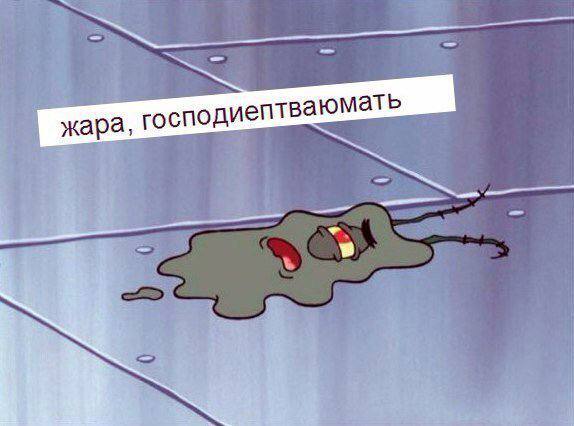 На Ставрополье ожидается до +40°С
31 июля в крае прогнозируют аномальную жару — температура воздуха поднимется до +40°С. Особенно жарко будет во второй половине дня | Сетка — социальная сеть от hh.ru