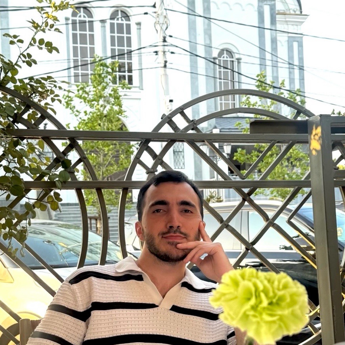 Network member avatar