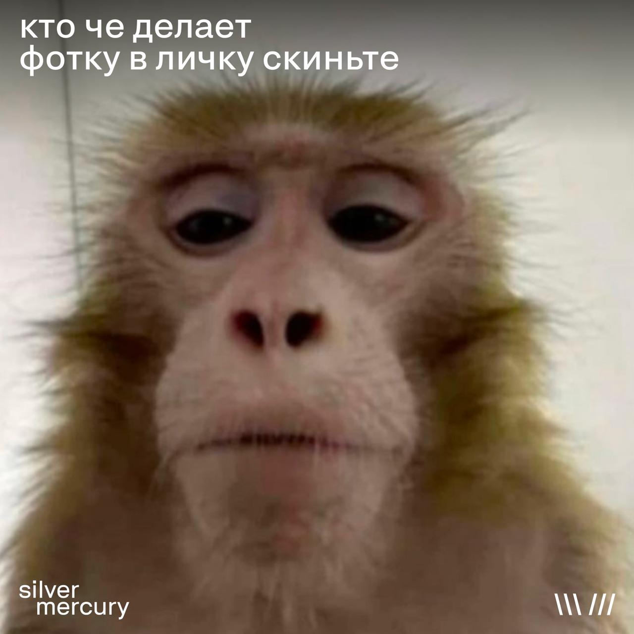 Вайб работы летом ощущается как-то примерно вот так | Сетка — социальная сеть от hh.ru