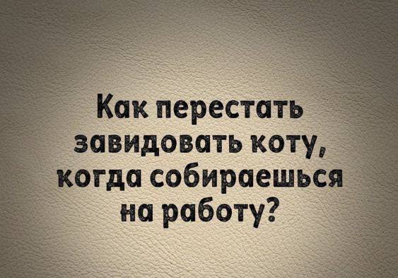 Вопрос недели в среду, которая, как известно, маленькая пятница ❤️
Если вы понимаете автора вопроса и разделяете его позицию, с вас 🤍 | Сетка — социальная сеть от hh.ru