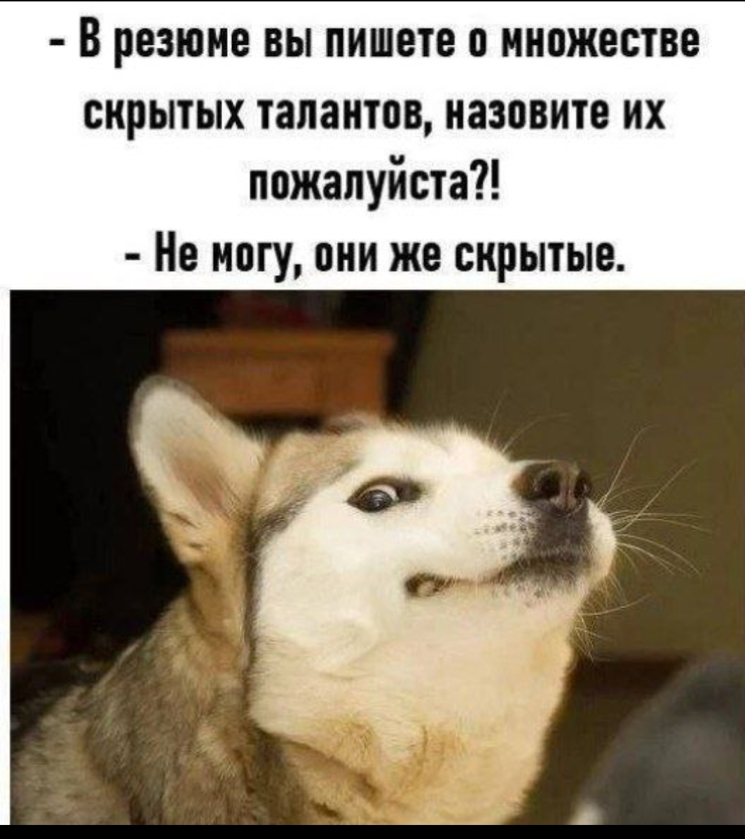 Как написать в резюме о своих талантах? | Сетка — социальная сеть от hh.ru