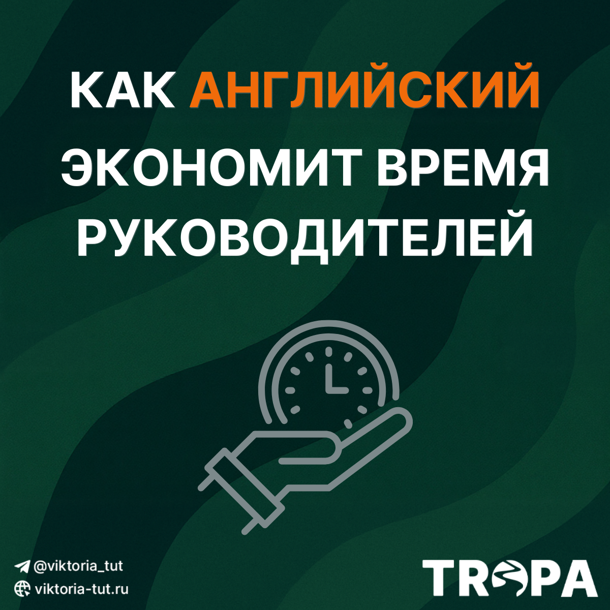Как Английский экономит время руководителей | Сетка — социальная сеть от hh.ru