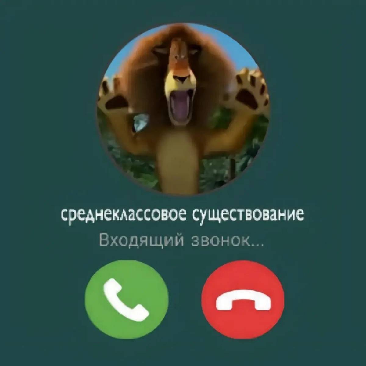 Матвей Бокарев
