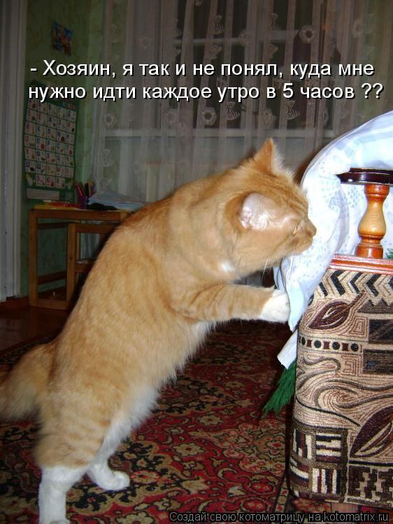 Это прям про мое сегодняшнее утро.
Похоже, вчера получился передоз всякой важной информации и в итоге часа в 2 ночи проснулась и всё.
Решила по будильнику в 5.10 не вставать, а поспать часа 2 | Сетка — социальная сеть от hh.ru
