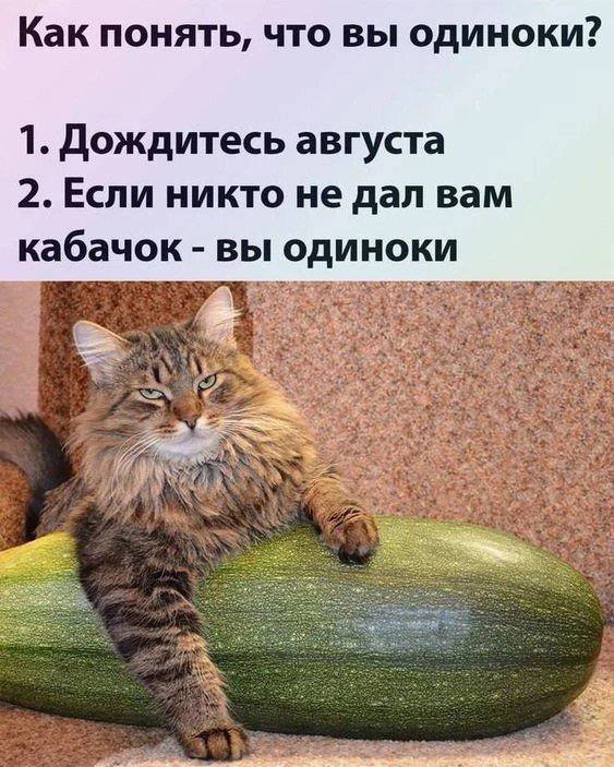 А у вас есть поставщики кабачков?)
😉В комментах больше мемов про август | Сетка — социальная сеть от hh.ru