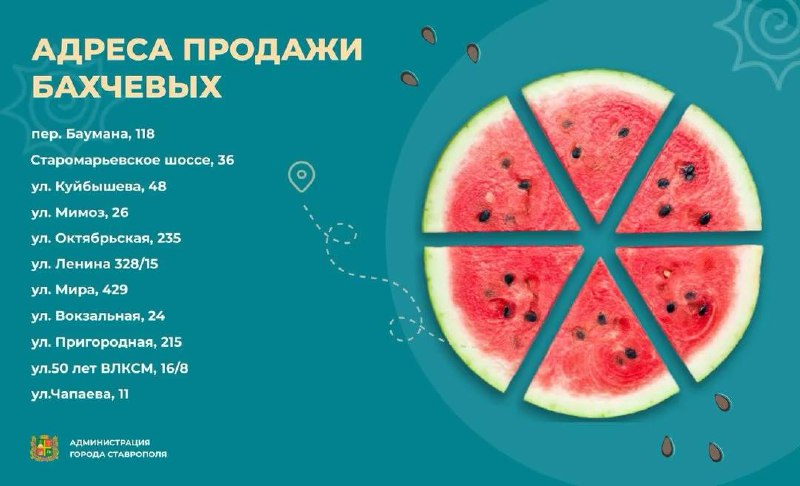 🍉 В Ставрополе началась продажа бахчевых культур
До конца сентября в городе работают 11 площадок, где вы можете приобрести свежие и качественные бахчевые продукты | Сетка — социальная сеть от hh.ru