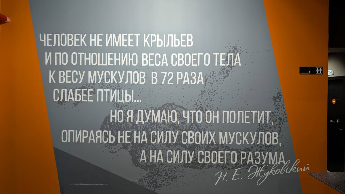Друзья, хочу поделиться с вами маленькой, но важной победой. Над собой. Над телом. Над страхом.  
Я много лет боялась летать. Не просто "некомфортно", а прям до физического напряжения, тревоги, паники | Сетка — социальная сеть от hh.ru