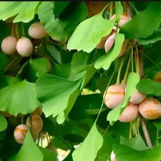 🌺🌺🌺🌺🌺🌺🌺🌺🌿🌿🌿🌿🌿🌿🌿🌿🌿🌿🌿🌿🌿🌿🌺🌺🌺🌺🌺🌺
ПРИВЕТ ПОДПИСЧИКАМ ОТ LadyMari 🌿🪷🪷🪷🪷🪷🌿🌿🌿🌿🌿🪷🪷🪷🪷🪷🪷🪷🪷🪷🪷🪷🪷🪷🪷🪷🪷🪷  
Простите, что не писала 2 дня. Но за эти два дня я подготовила для Вас интересные посты | Сетка — социальная сеть от hh.ru