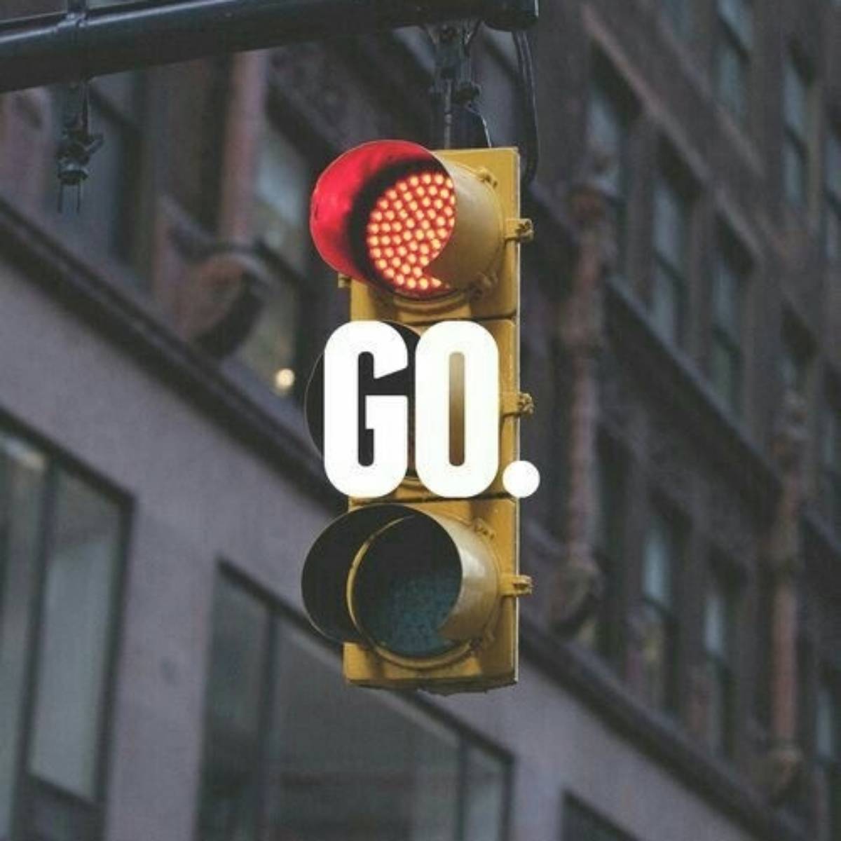 Заур Шадыжев | Сетка — социальная сеть от hh.ru