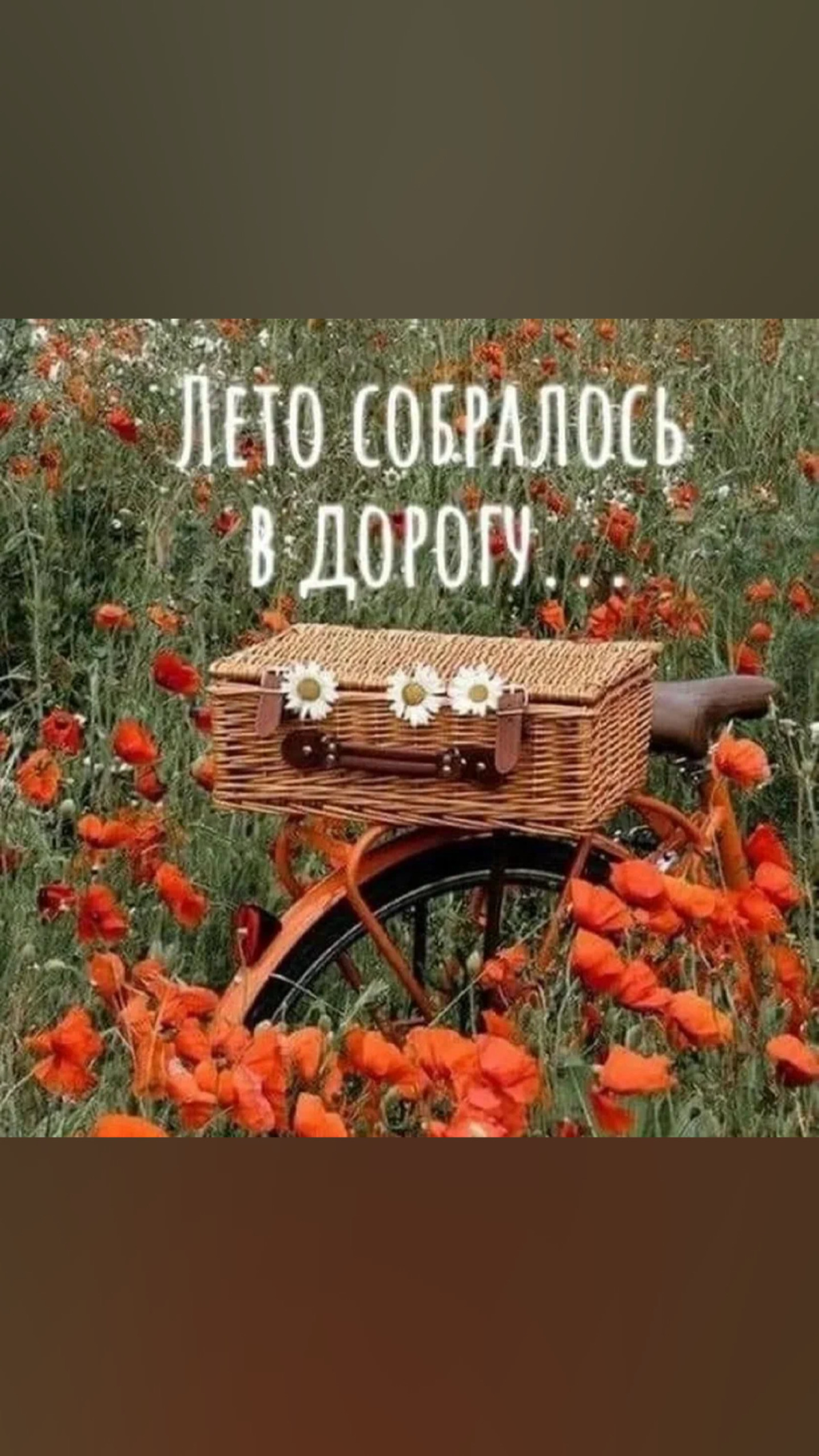 1 августа | Сетка — социальная сеть от hh.ru