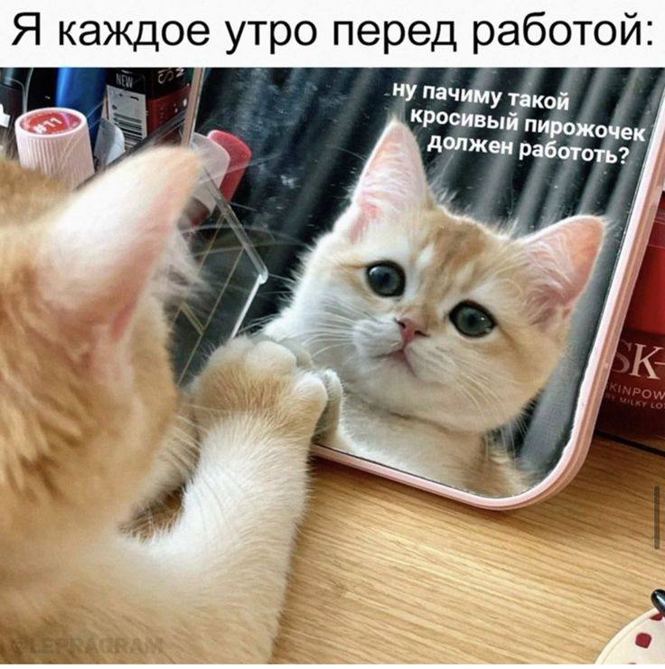 Традиционно для правильного начала дня - мой утренний пост для вас 😍
Пятница - День завершений
Как закрыть неделю с силой и кайфом:
Пятница - не просто “дожить до вечера” | Сетка — социальная сеть от hh.ru