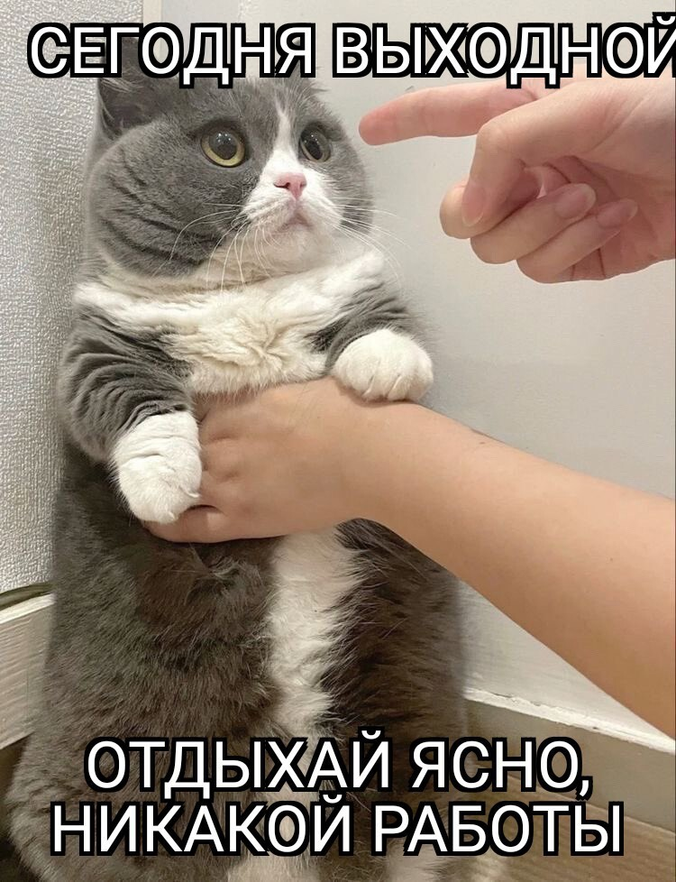 Ушла в отпуск | Сетка — социальная сеть от hh.ru