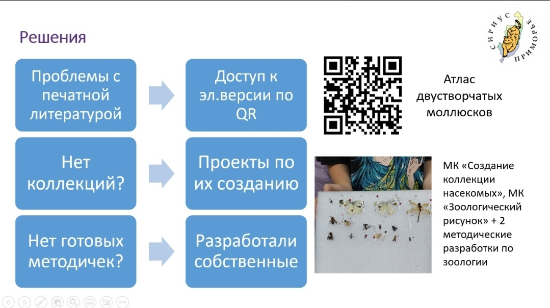 Отчетность у педагогов | Сетка — социальная сеть от hh.ru