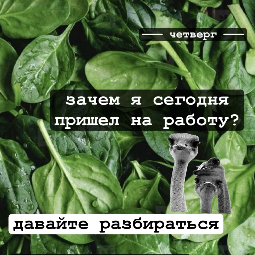 Всего по одному неприятному вопросу в день | Сетка — социальная сеть от hh.ru