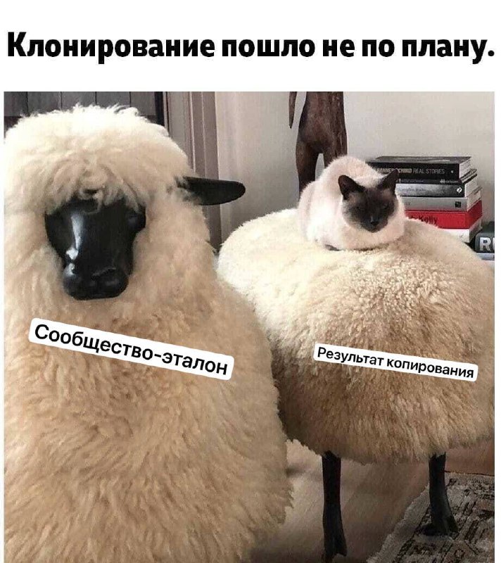 Хотите узнать, как рассчитать цену для своего клуба правильно?
(чтобы не было как на меме 😂)
Ставьте реакции)
За картинку спасибо Екатерине Козыревой 🫶 | Сетка — социальная сеть от hh.ru