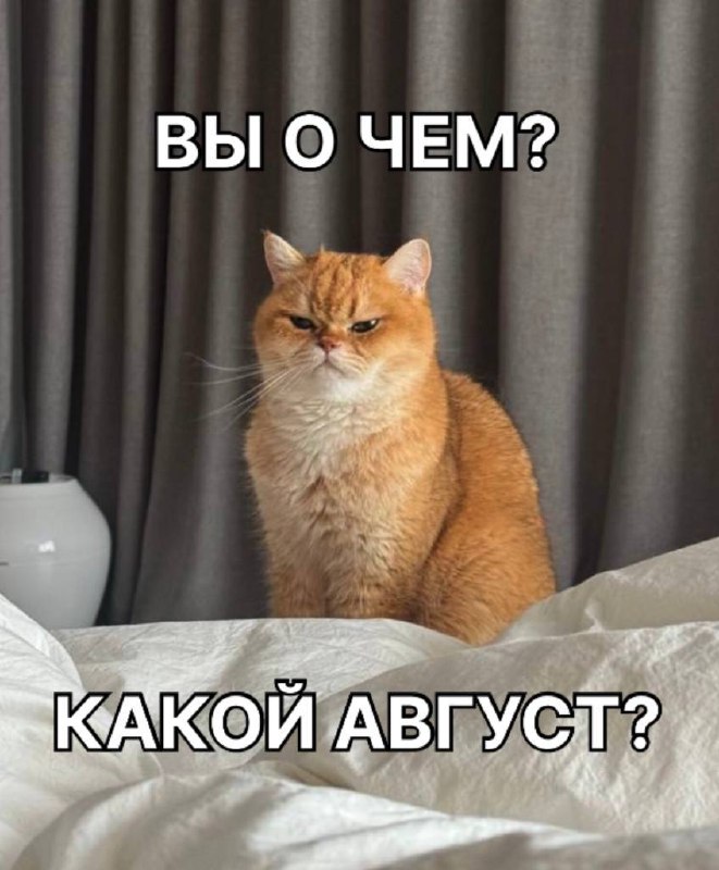 Друзья, не хочу вас расстраивать
Но.. Остался 1 месяц лета! 😳🥲😭😭😭 | Сетка — социальная сеть от hh.ru