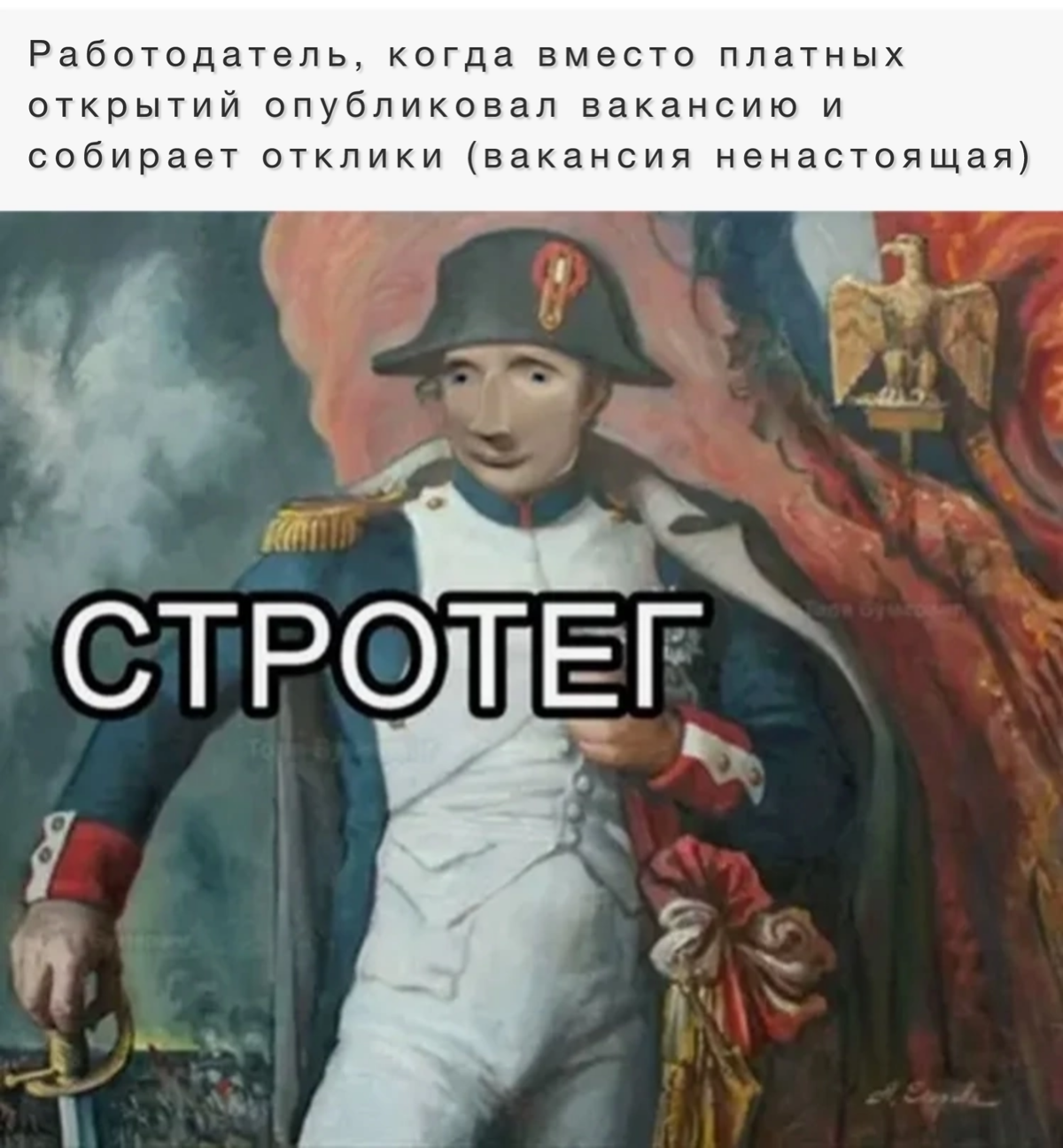 В объявлении сказано, что берут без опыта. В итоге не берут( | Сетка — социальная сеть от hh.ru