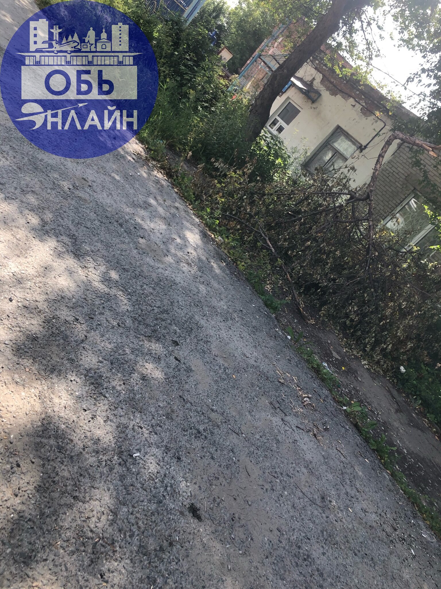 ↗ Даже рядом с городским хозяйством (Горводоканал) мусор. О чем говорить тогда можно, если весь город загажен. Зато, скажут что все скосили, а ветки и мусор - само уйдет.
vk | Сетка — социальная сеть от hh.ru