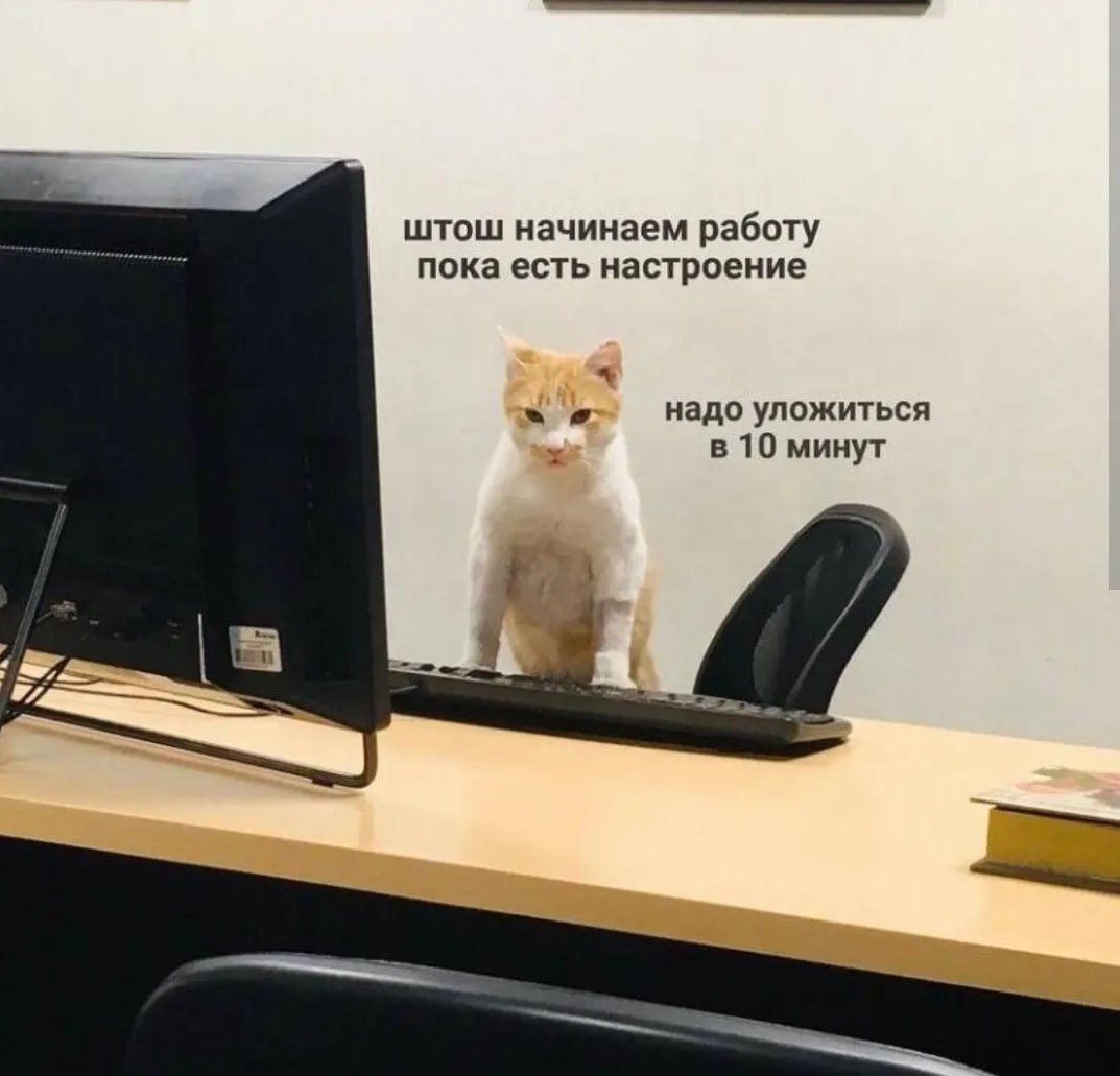 Проснулись - улыбнулись☀️
10 минут вам или 20 минут коллеге?
#мемнаяпятница | Сетка — социальная сеть от hh.ru