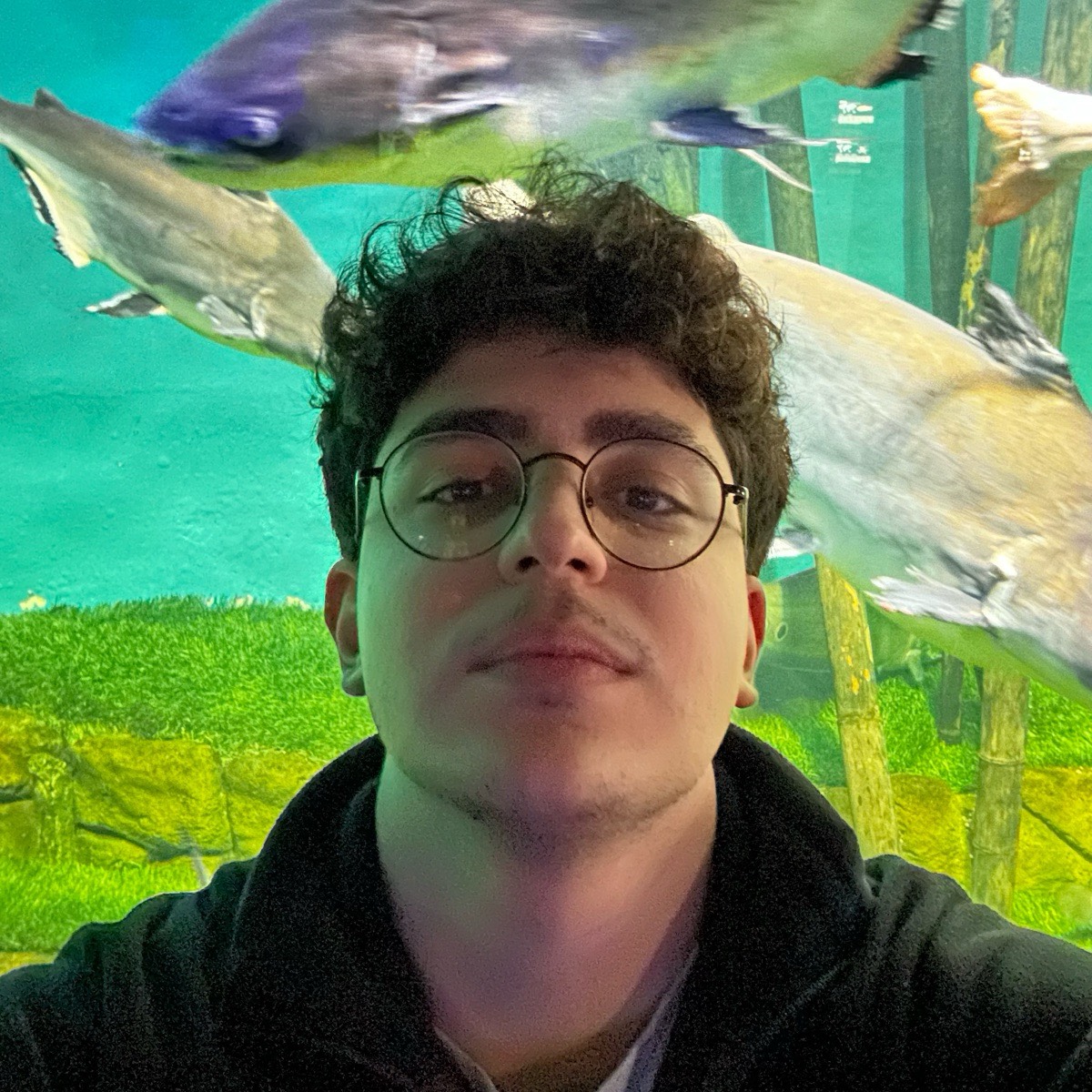 Алэн Джалад