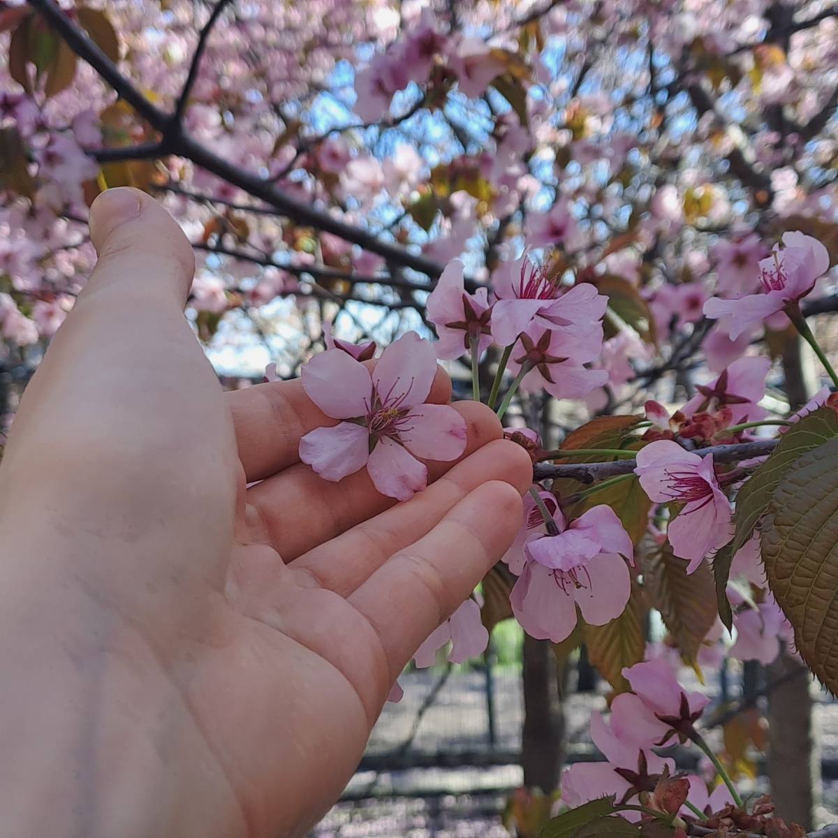 Анна Батищева | Сетка — социальная сеть от hh.ru