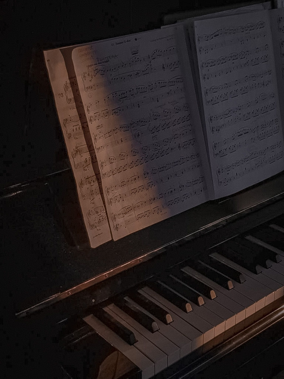 🎷На этой неделе в рамках «Парковой симфонии» выступит малый симфонический оркестр, прозвучит живая музыка и караоке под рояль
1 августа 19:00-21:00
🎵малый симфонический оркестр
📍ландшафтный парк «Мити... | Сетка — социальная сеть от hh.ru