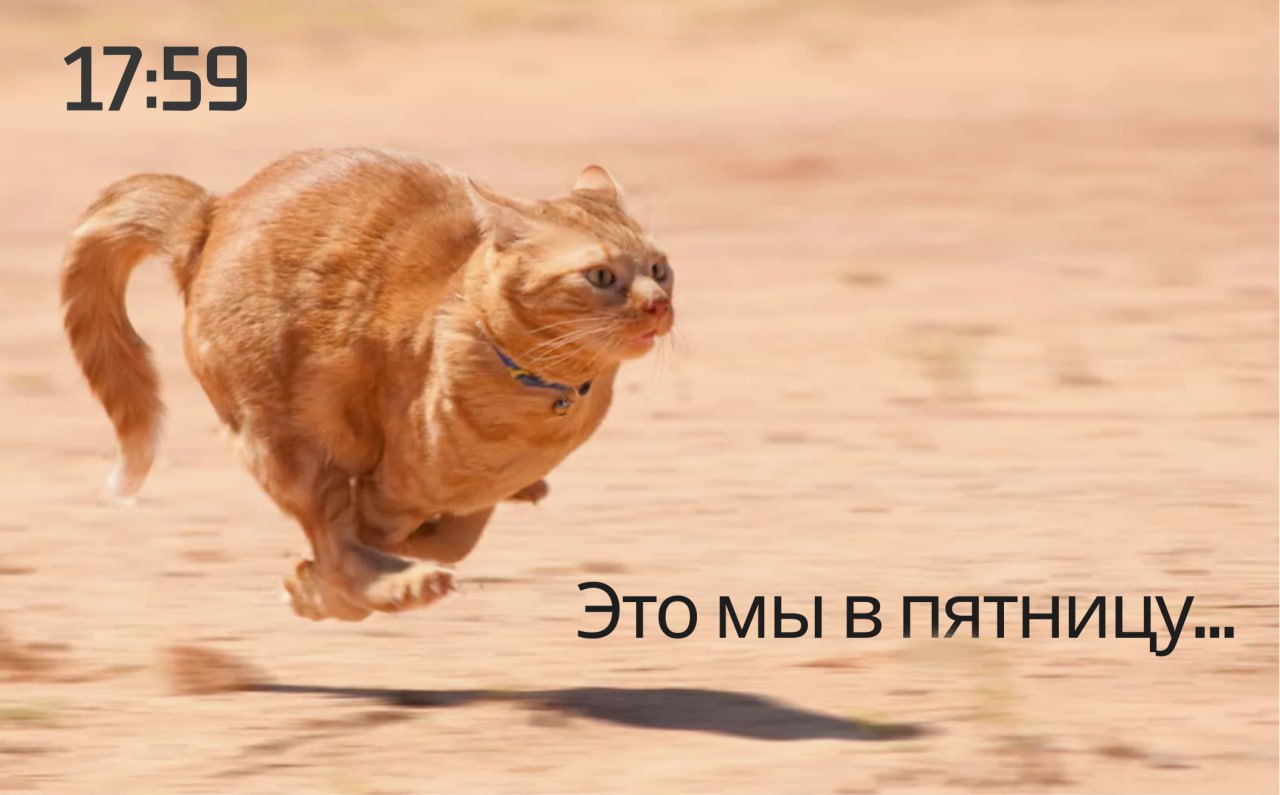 🗓 Сделали подборку полезных материалов о КЭДО и HR-модулях, которые вы могли упустить:
— Инструмент BI‑аналитики для HR: главные KPI, которые должны знать руководители;
— Портал кандидата EmplDocs и ф... | Сетка — социальная сеть от hh.ru