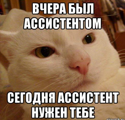 Когда на тебе три топ-менеджера компании, а ты хочешь просто жить | Сетка — социальная сеть от hh.ru