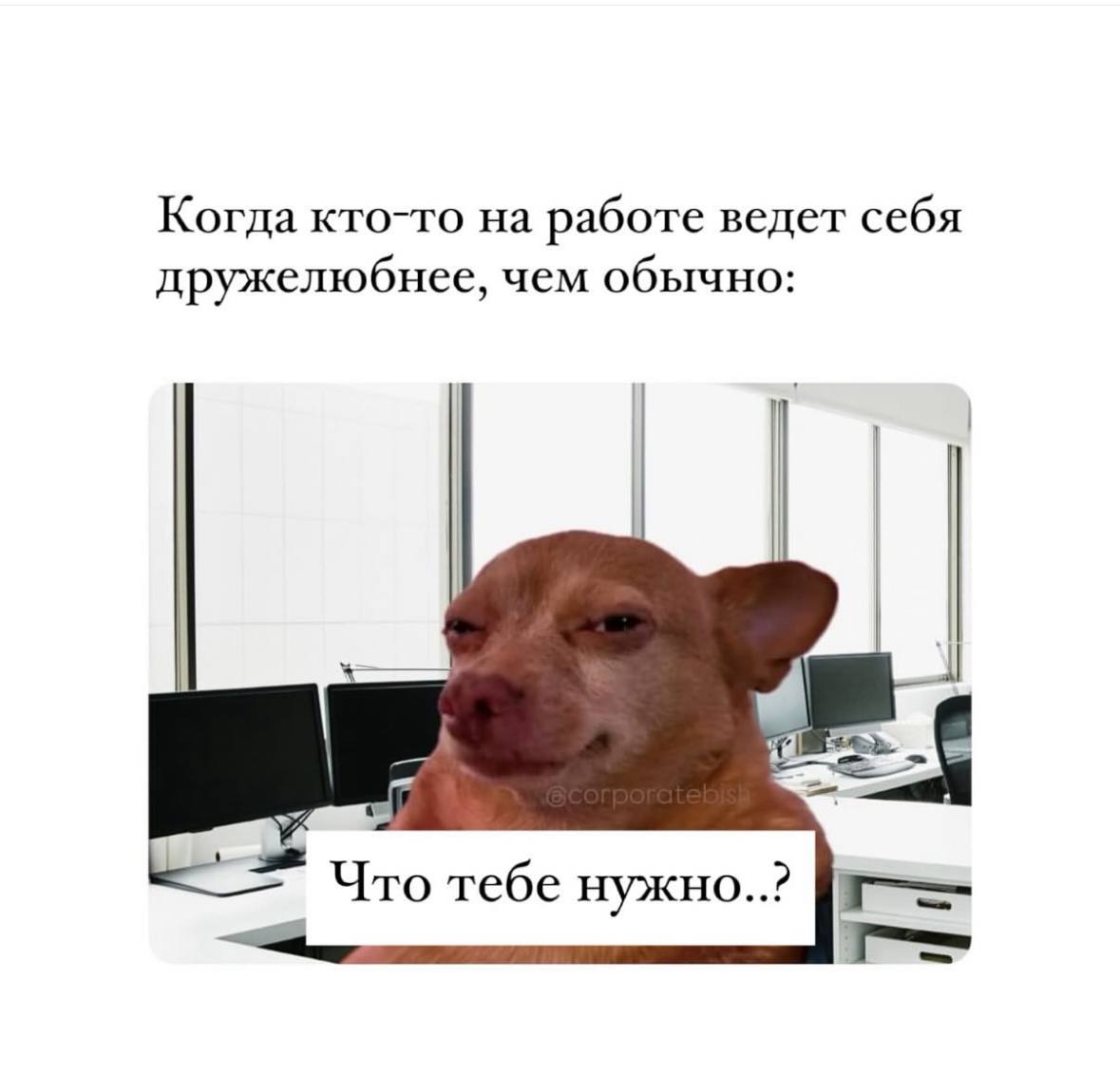 Предлагаем закончить эту рабочую неделю на позитивной ноте 😉 | Сетка — социальная сеть от hh.ru