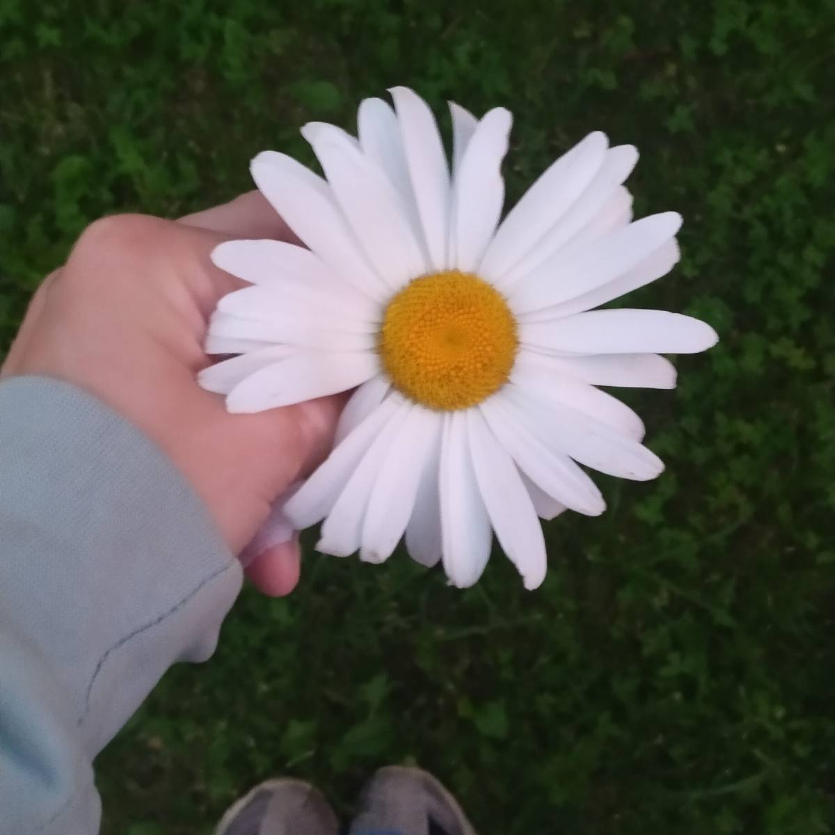 Анастасия Ширяева