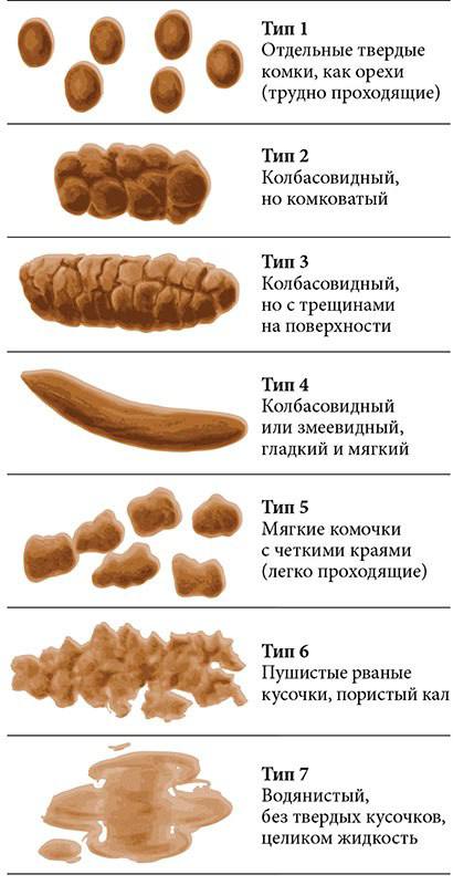 💊 БРИСТОЛЬСКАЯ ШКАЛА ФОРМЫ КАЛА | Сетка — социальная сеть от hh.ru