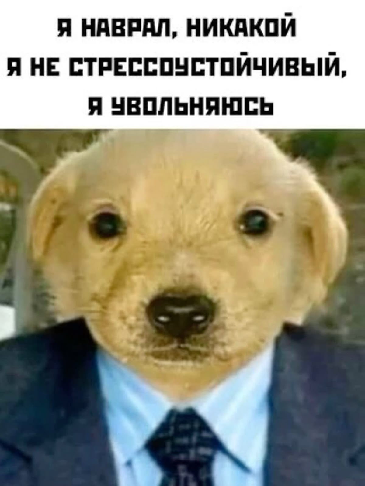 Работа с токсичным коллегой😤: инструкция для менеджера📖 | Сетка — социальная сеть от hh.ru