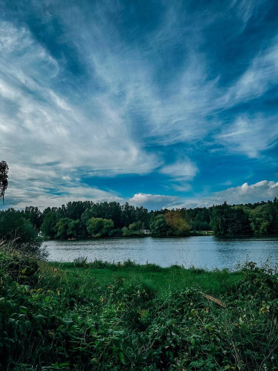 🌳Природный парк на западе столицы
Пн-Вс круглосуточно
Приятное место для прогулок и тихого отдыха 😍
▫️Вход свободный
📍Парк Звезд
📲Подпишитесь на Вдвижении
#бесплатно #активныйотдых
В этом посте были с... | Сетка — социальная сеть от hh.ru