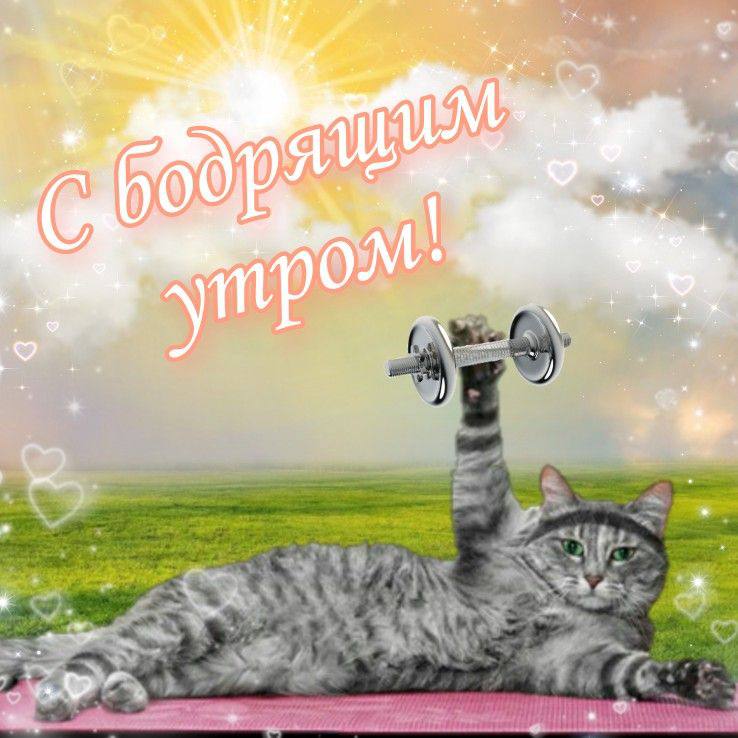 Выходные нужны, чтобы перезагрузиться, а не выгореть ещё больше.
Поэтому вот тебе 3 шага, чтобы отдохнуть с пользой, а не зависнуть в TikTok до потери пульса:
1 | Сетка — социальная сеть от hh.ru
