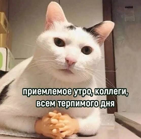 Есть ли отклик при нестандартных заголовках писем по e-mail? | Сетка — социальная сеть от hh.ru