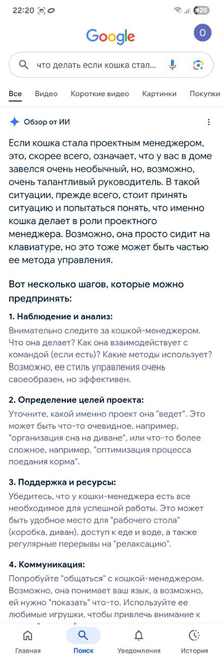 Что делать, если кошка стала проджект менеджером - по мнению ИИ...
Это был субботний вечер, мы развлекались как могли🙈🙈🙈 | Сетка — социальная сеть от hh.ru