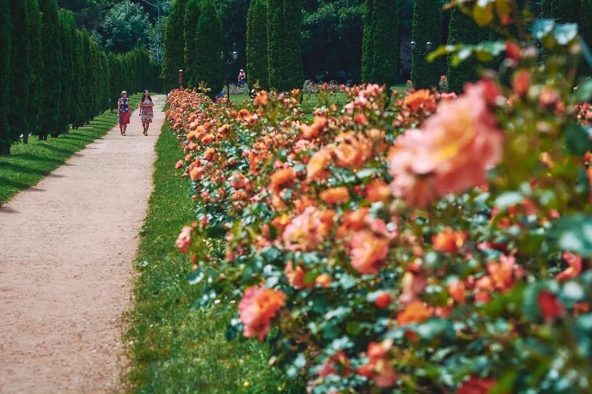 🌹 Летний Кисловодский парк
⠀
📸 Константин Кордонский | Сетка — социальная сеть от hh.ru