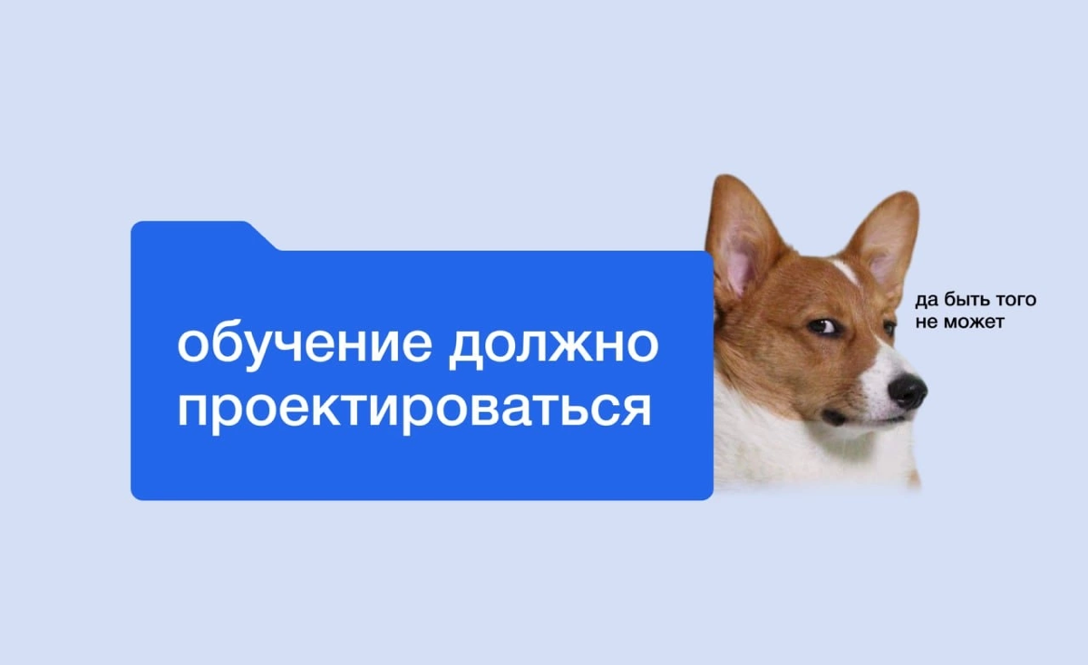 Обучение нужно проектировать | Сетка — социальная сеть от hh.ru