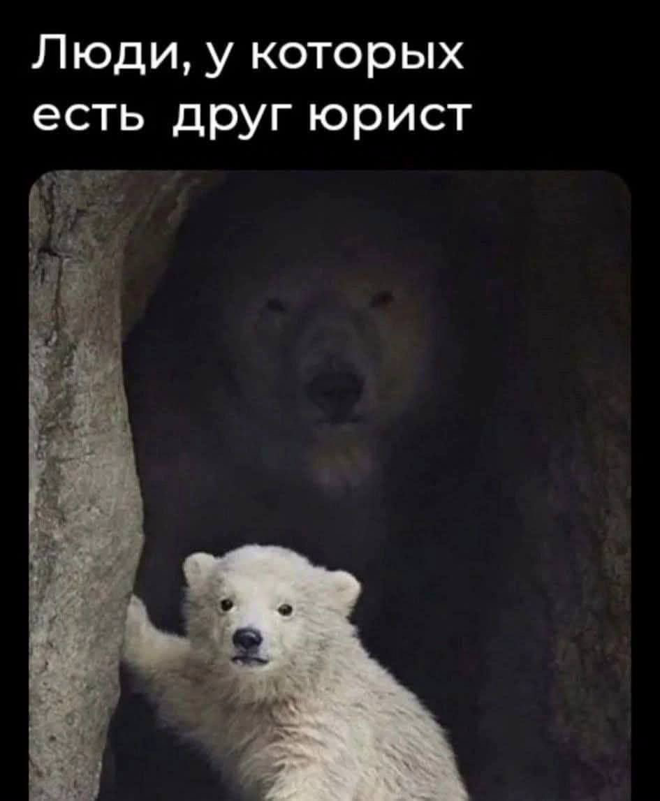 Актуально | Сетка — социальная сеть от hh.ru
