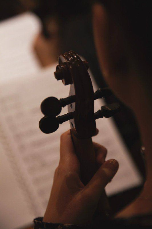 🎶Бесплатный симфонический концерт Selen Orchestra: «Сергей Рахманинов | Сетка — социальная сеть от hh.ru