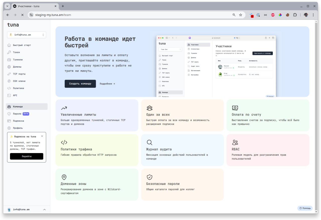 https://tuna.am/
Мощнейший набор для обратных туннелей.
В бесплатном варианте можно быстро поднять http тунель.
В платной подписке раскрывается всё обилие функционала | Сетка — социальная сеть от hh.ru