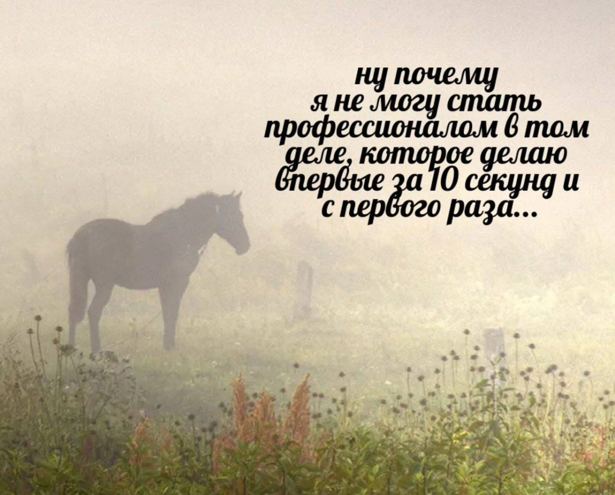 Хей, гайз! Самозванцы есть здесь? | Сетка — социальная сеть от hh.ru