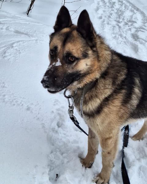 Благотворительная миссия «Mile Logistics»: | Сетка — социальная сеть от hh.ru