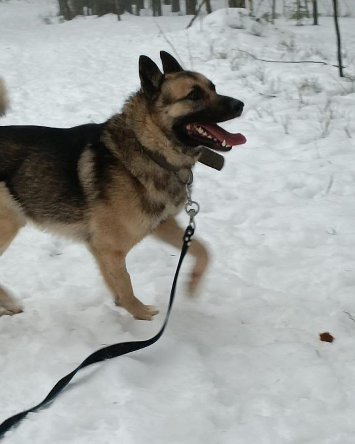 Благотворительная миссия «Mile Logistics»: | Сетка — социальная сеть от hh.ru