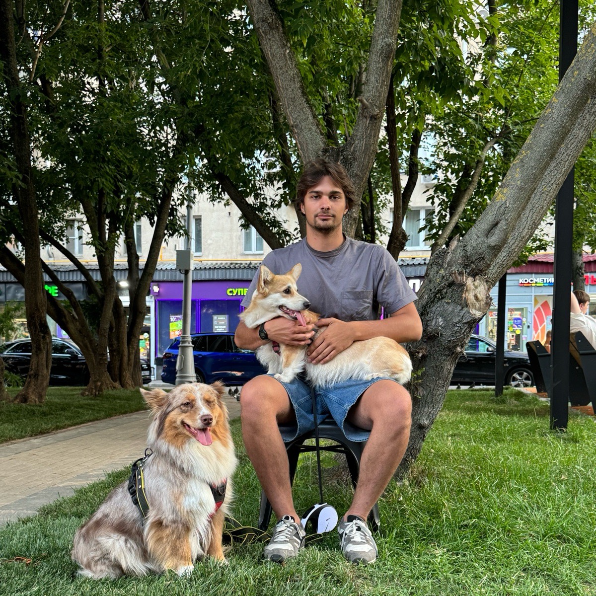 Никита Бабарыкин | Сетка — социальная сеть от hh.ru