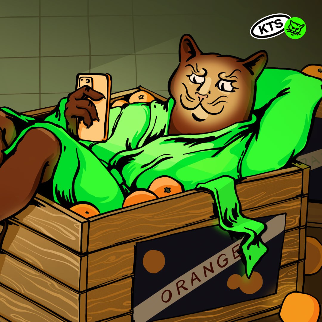 — Апельсинки продаёте?
— Нет, начисляем.
— Красивое!
Рассказываем, как мы объединили десятки федеральных брендов в один сервис лояльности Апельсин и запустили приложение за 3 месяца | Сетка — социальная сеть от hh.ru