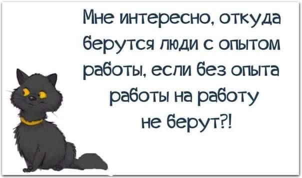 У меня тут важный кадровый вопрос - почему зумер врёт в резюме 😬😬
В консультировании столкнулась с такой проблемой - зумер сочинил свое резюме, используя искусственный интеллект | Сетка — социальная сеть от hh.ru